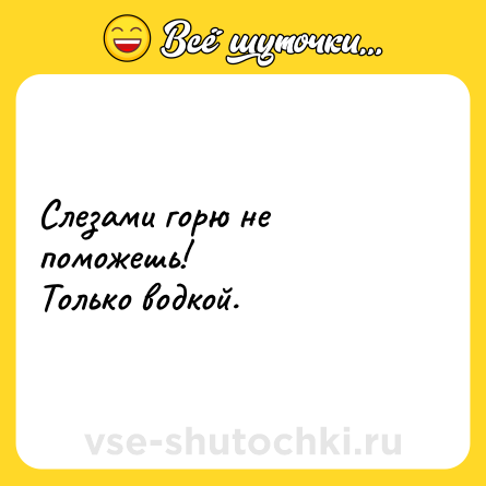Шутка: Слезами горю не поможешь!<br>Только водкой.