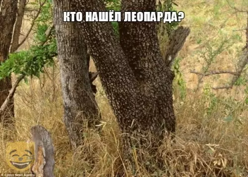 Смешная картинка №481181 #приколы #картинки #мемы ?