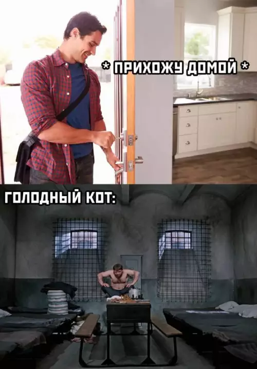 Смешная картинка №674022 коты