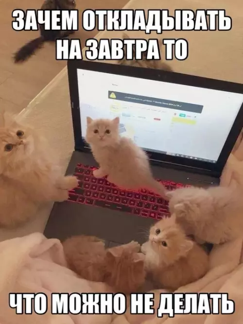 Смешная картинка №738482 Зачем