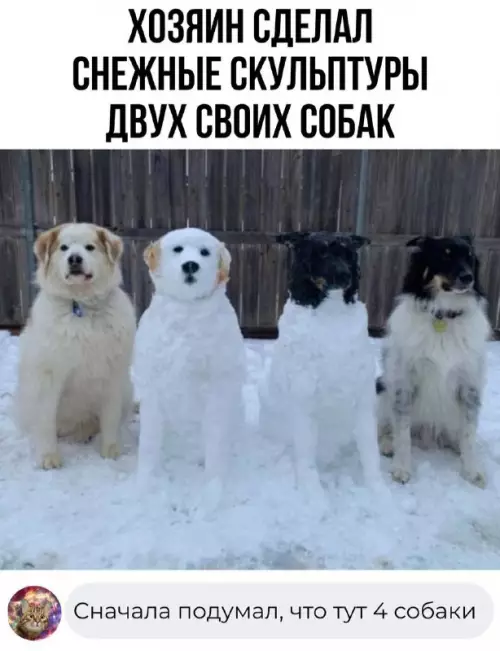 Смешная картинка №668679