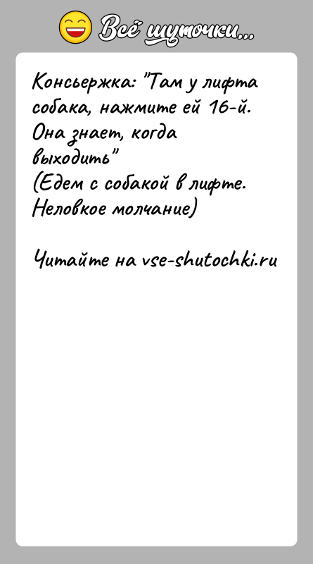 История: Консьержка: Там у лифта собака, нажмите ей 16-й. Она знает, когда выходить (Едем с собакой в лифте. Неловкое молчание)