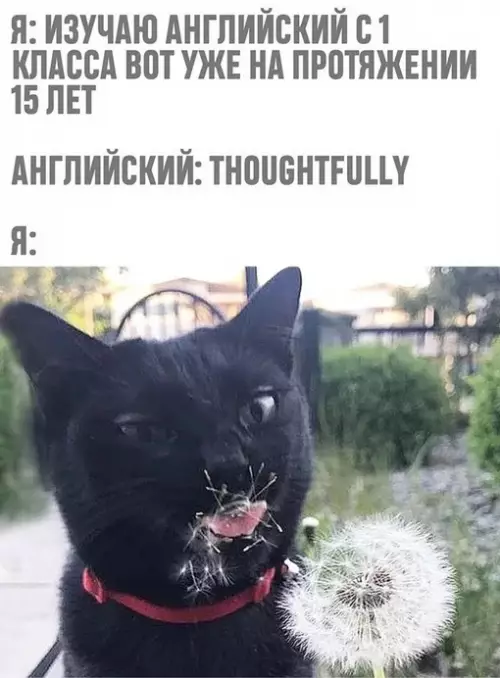Смешная картинка №631405