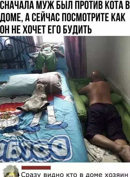 Смешная картинка №562869