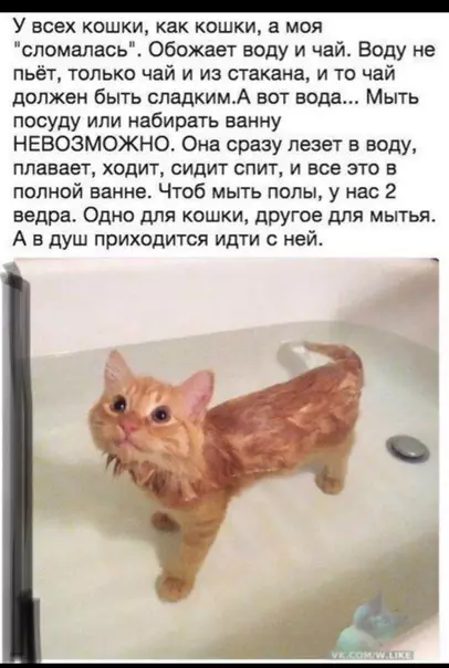 Смешная картинка №322862 )))