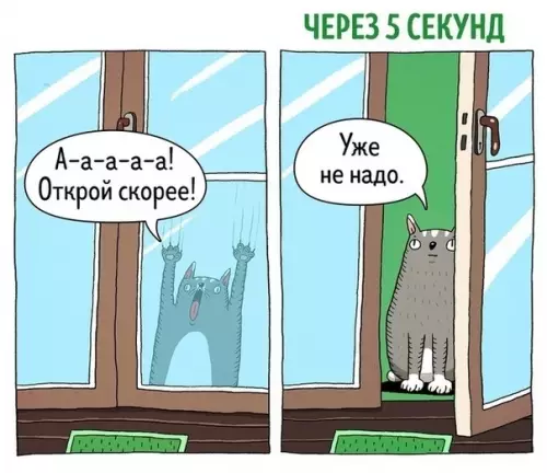 Смешная картинка №325693 Коты – ужасно противоречивые существа... кошки