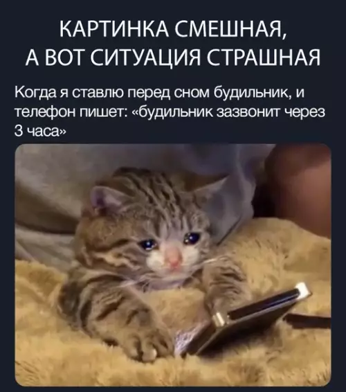 Смешная картинка №316645