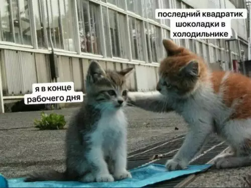 Смешная картинка №754375