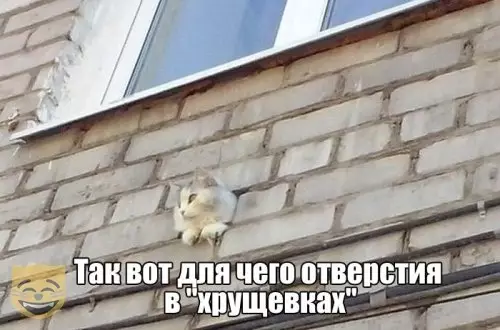 Смешная картинка №364882 #приколы #картинки #мемы ?