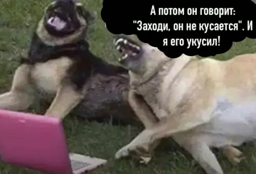 Смешная картинка №497909 «О чём говорят собаки»