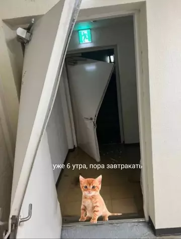 Смешная картинка №734374