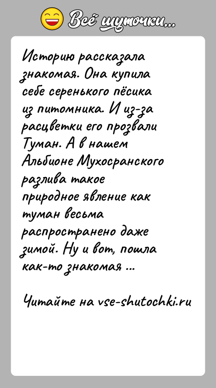 История: Историю рассказала знакомая. Она купила себе серенького пёсика из питомника. И из-за расцветки его прозвали Туман. А в нашем Альбионе