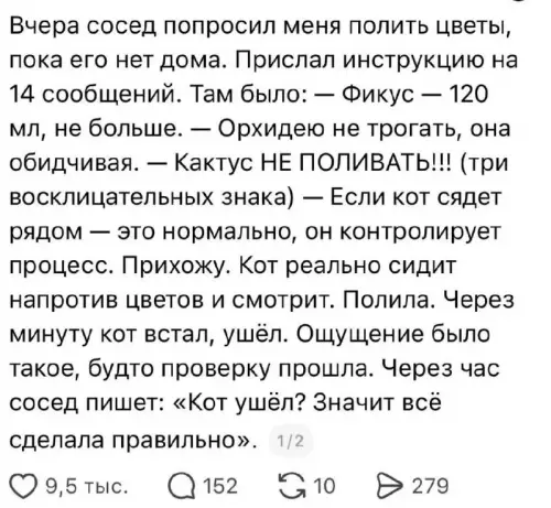 Инструкция по выживанию растений 🪴🐈 - Вчера сосед попросил меня полить цветы, пока его нет дома.