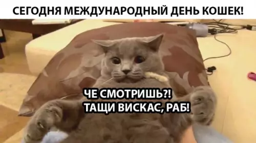 Смешная картинка №294556