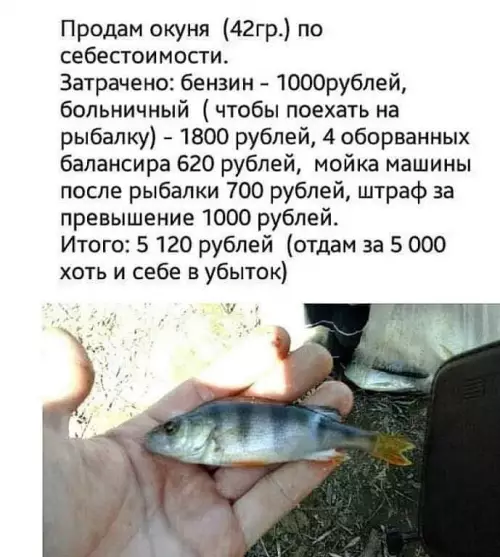 Смешная картинка №671826