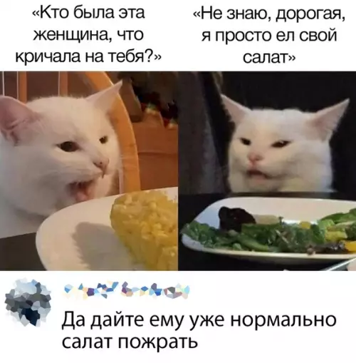 Смешная картинка №400289 кошки, мемы