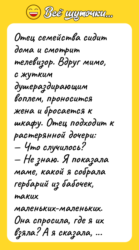 Отец семейства сидит дома и смотрит телевизор. Вдруг мимо, с