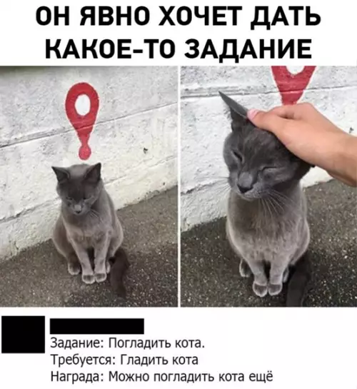 Смешная картинка №561417 Taкoй квecт мнe нpaвитcя