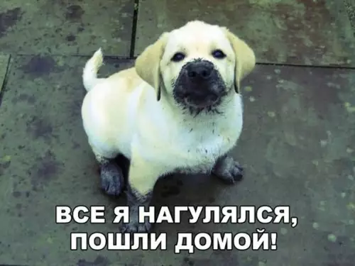 Смешная картинка №226847