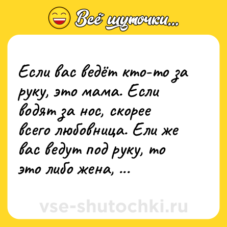 Шутка: Если вас ведёт кто-то за руку, это мама. Если водят за нос, скорее всего любовница. Ели же вас ведут под руку, то это либо жена, либо менты.