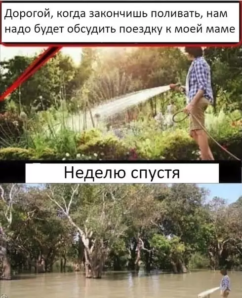 Смешная картинка №366429 Хитрый парень
