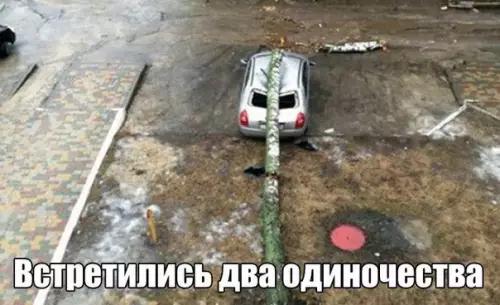 Смешная картинка №182398 одиночество
