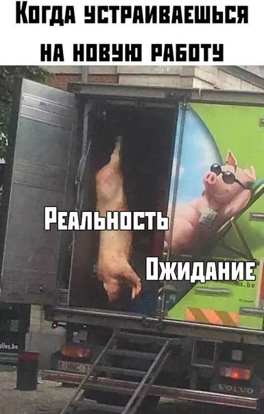 Смешная картинка №381629