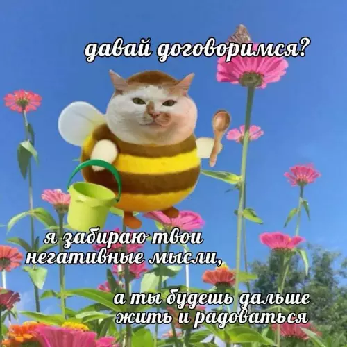 Смешная картинка №759195 Хорошо 