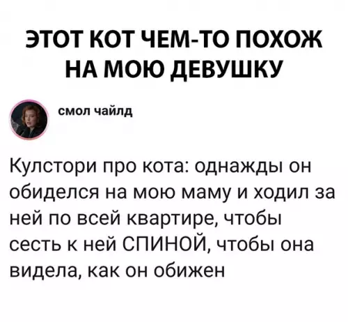 Смешная картинка №289052