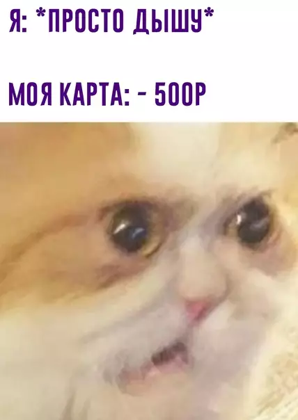 Смешная картинка №615485
