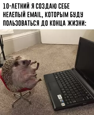 Смешная картинка №683074 Узнaли? Coглacны?