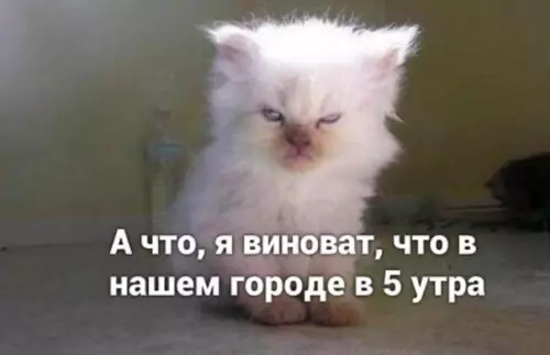 продолжение Смешная картинка №578025 Жизa
