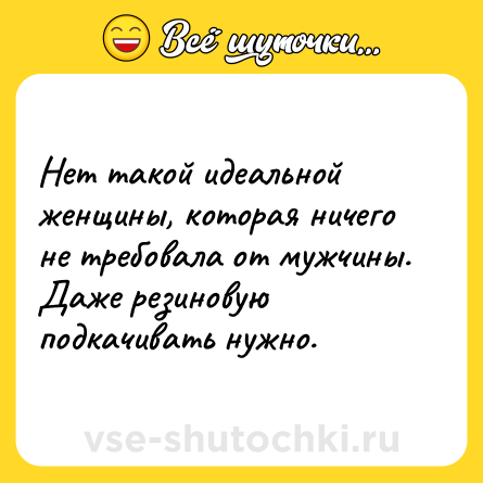 Шутка: Нет такой идеальной женщины, которая ничего не требовала от мужчины. Даже резиновую подкачивать нужно.