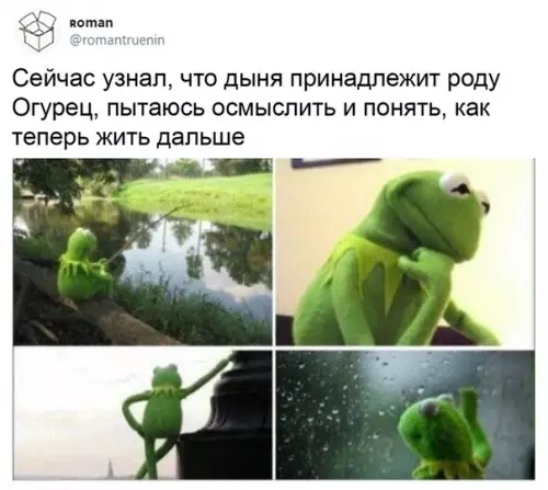 Смешная картинка №509040 а казалось, что меня нечем удивить