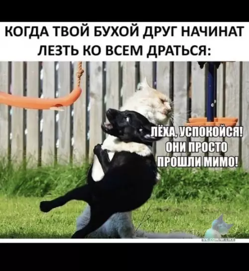 Смешная картинка №336626