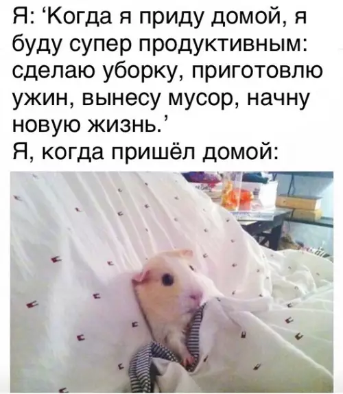 Смешная картинка №257481