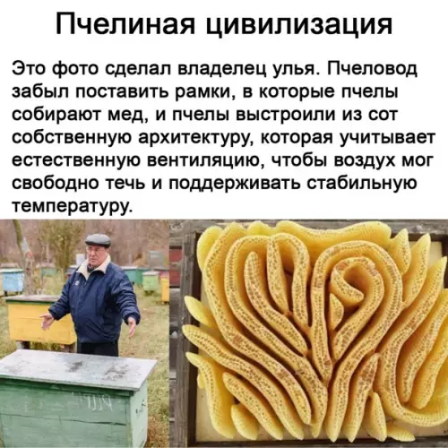 Смешная картинка №556070 Очень красиво