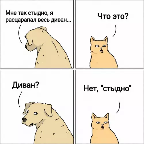 Когда пытаешься извиниться, но всё пошло не так 😂 - Мне так стыдно, я расцарапал весь диван... Что это? Диван?