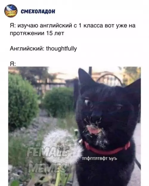 Смешная картинка №604240