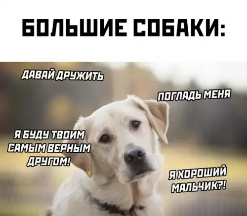 Смешная картинка №568619