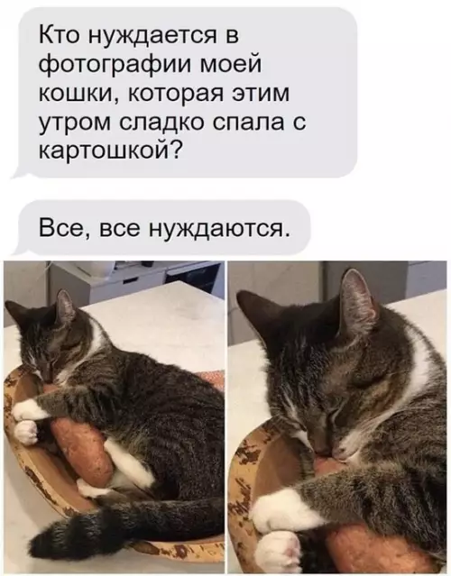 Смешная картинка №765107