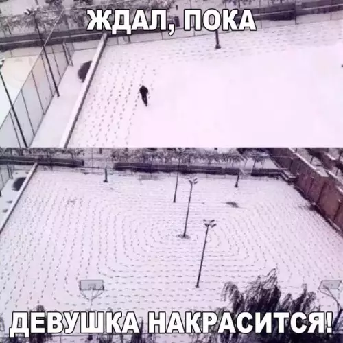 Смешная картинка №237274