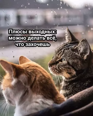 Смешная картинка №770890