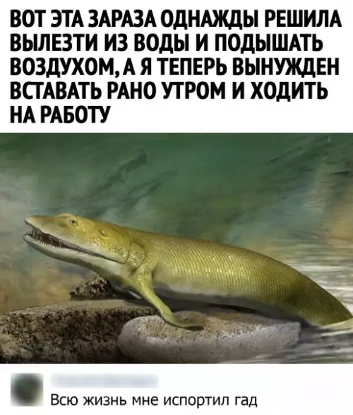 Смешная картинка №582882 Если бы не он сейчас бы плавали где то в речке