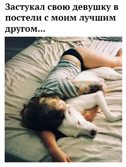Смешная картинка №237258