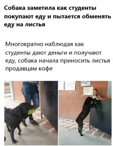 Смешная картинка №273668