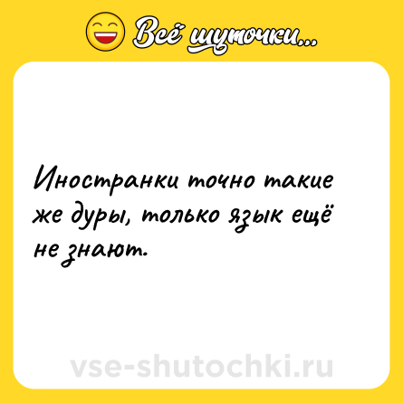 Шутка: Иностранки точно такие же дуры, только язык ещё не знают.