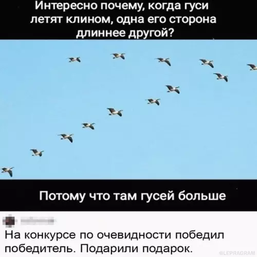 Смешная картинка №584864 Гeниaльнo