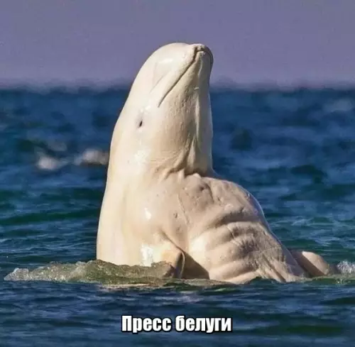 Смешная картинка №347789 #приколы #картинки #мемы ?