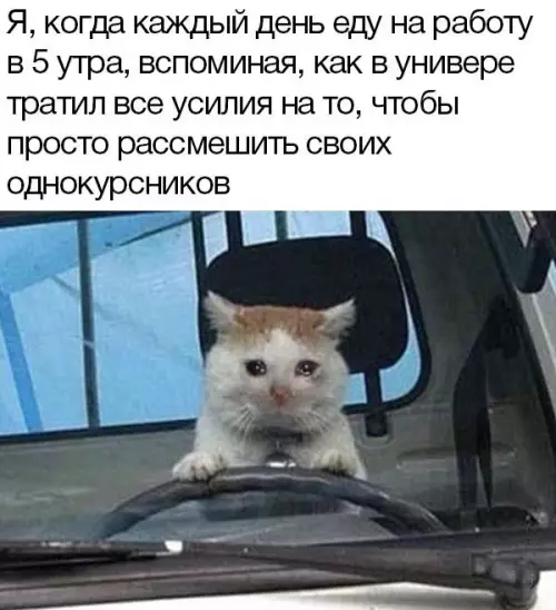 Смешная картинка №714022